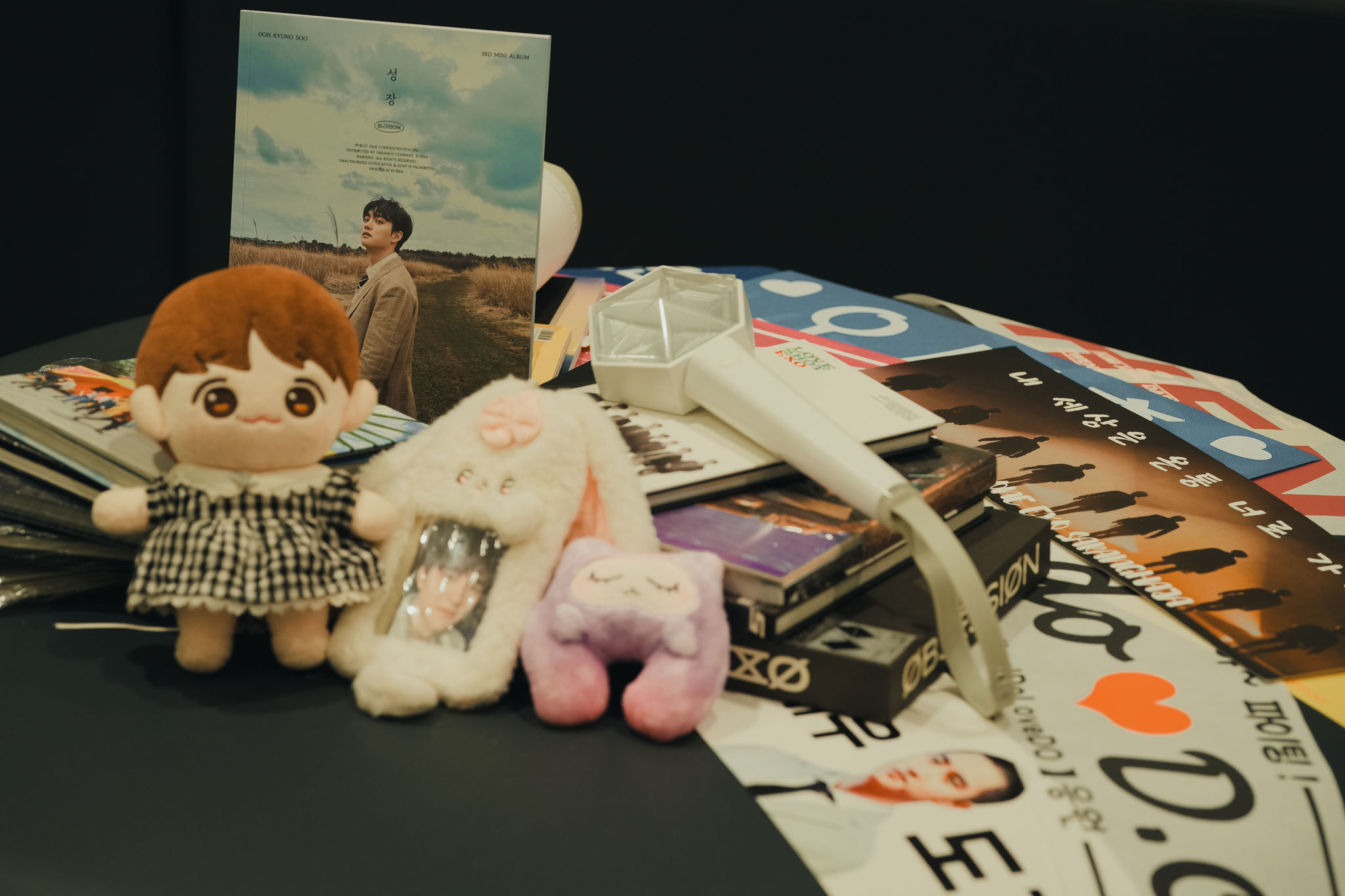 EXO fan Charmaine