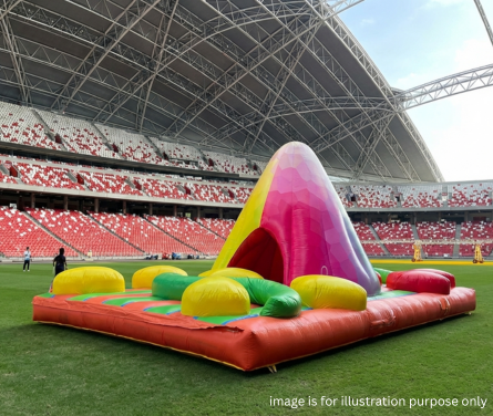 National Stadium Experience